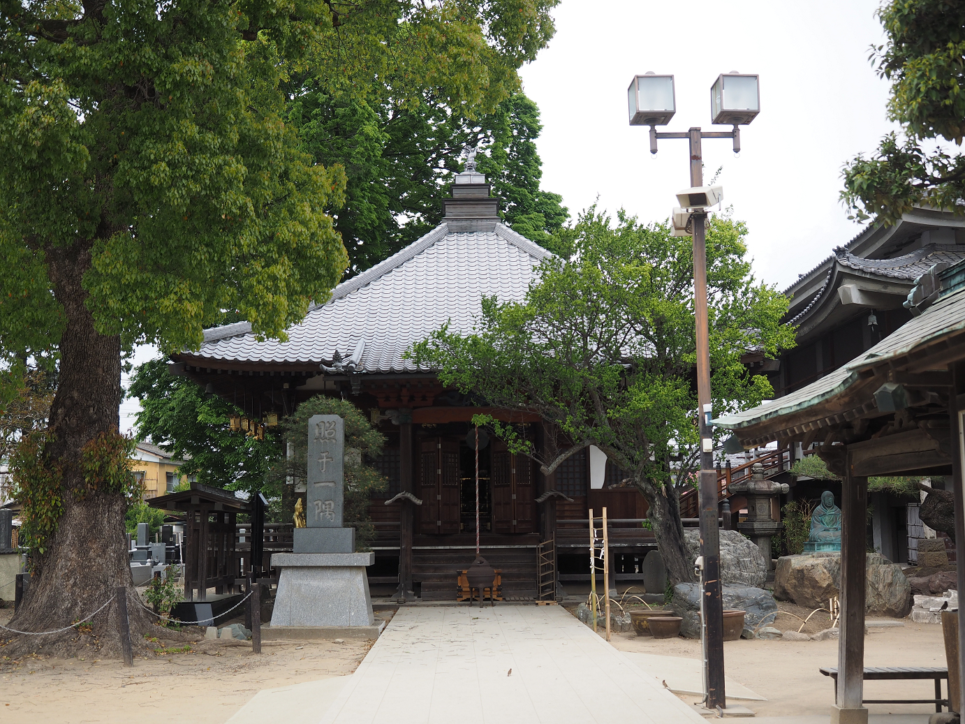 P4291177.jpg