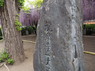 P4291218_thumb.png