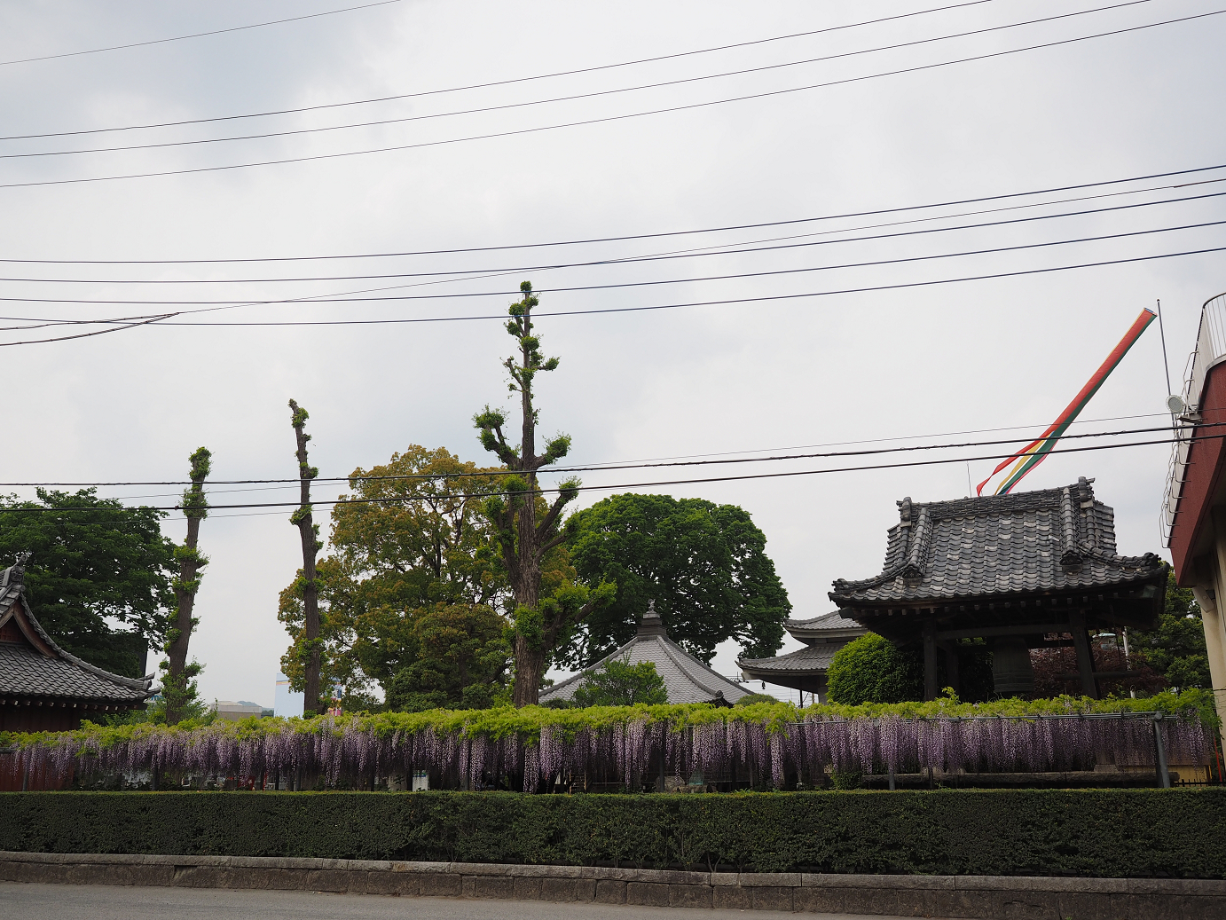 P4291236.jpg