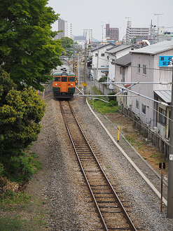P4291244_thumb.png