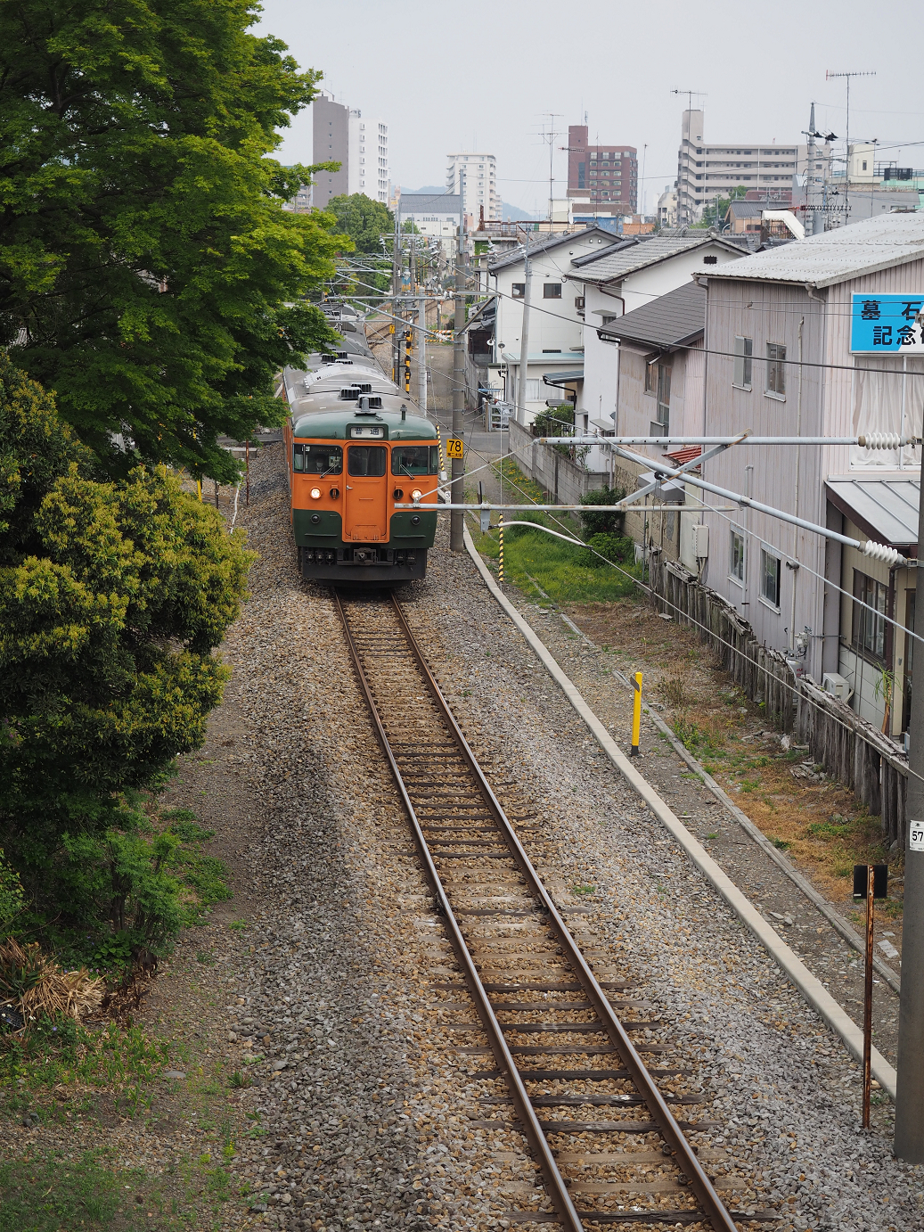 P4291249.jpg