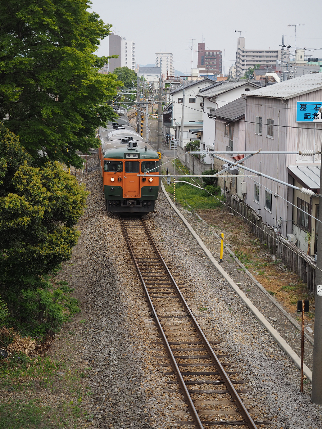 P4291251.jpg