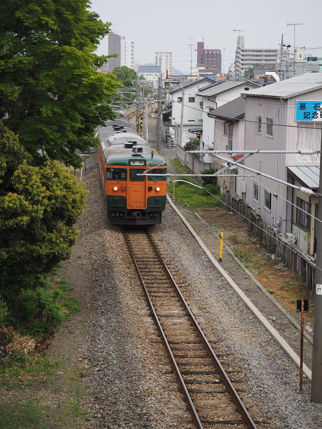 P4291253.jpg