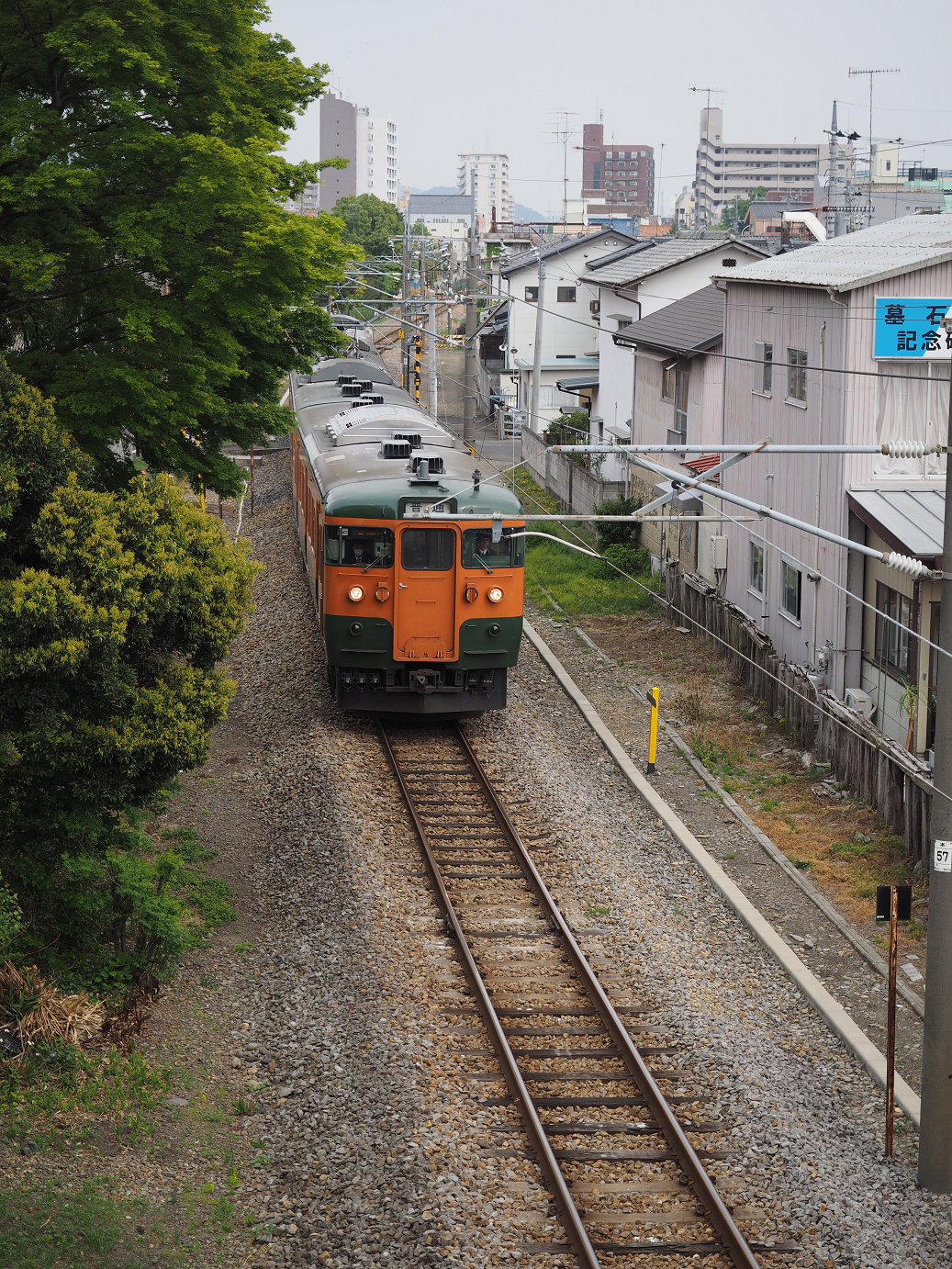 P4291255.jpg