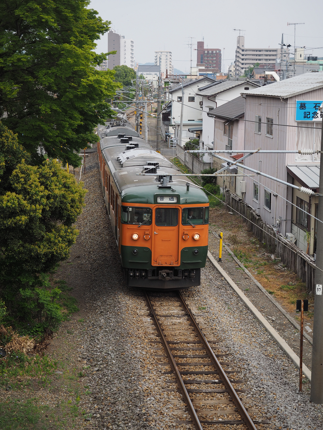 P4291259.jpg