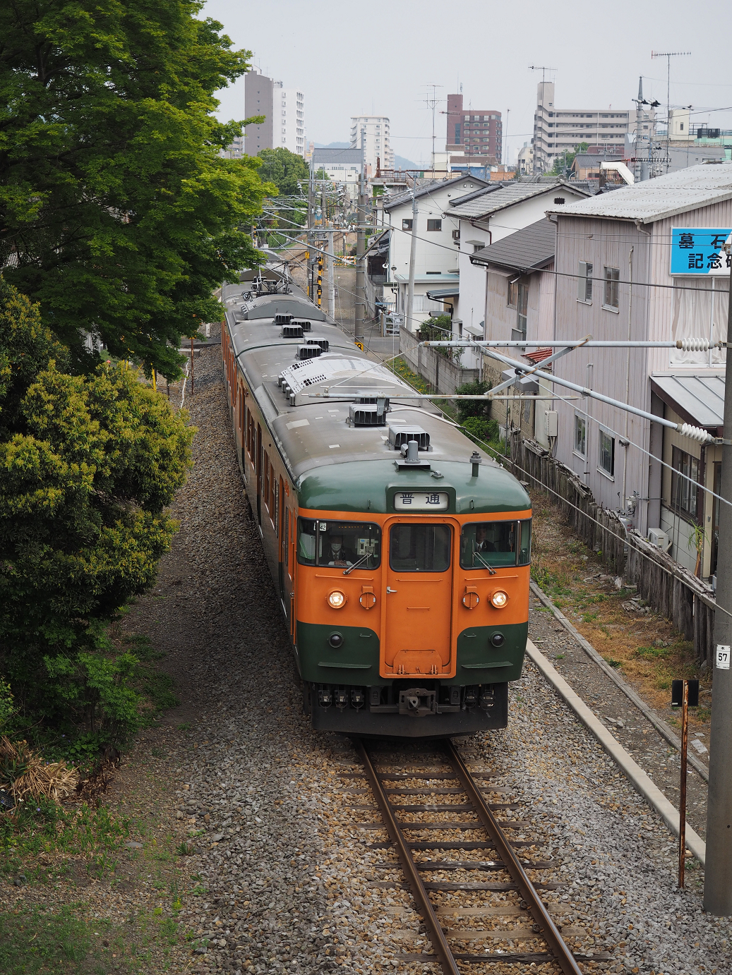 P4291261.jpg