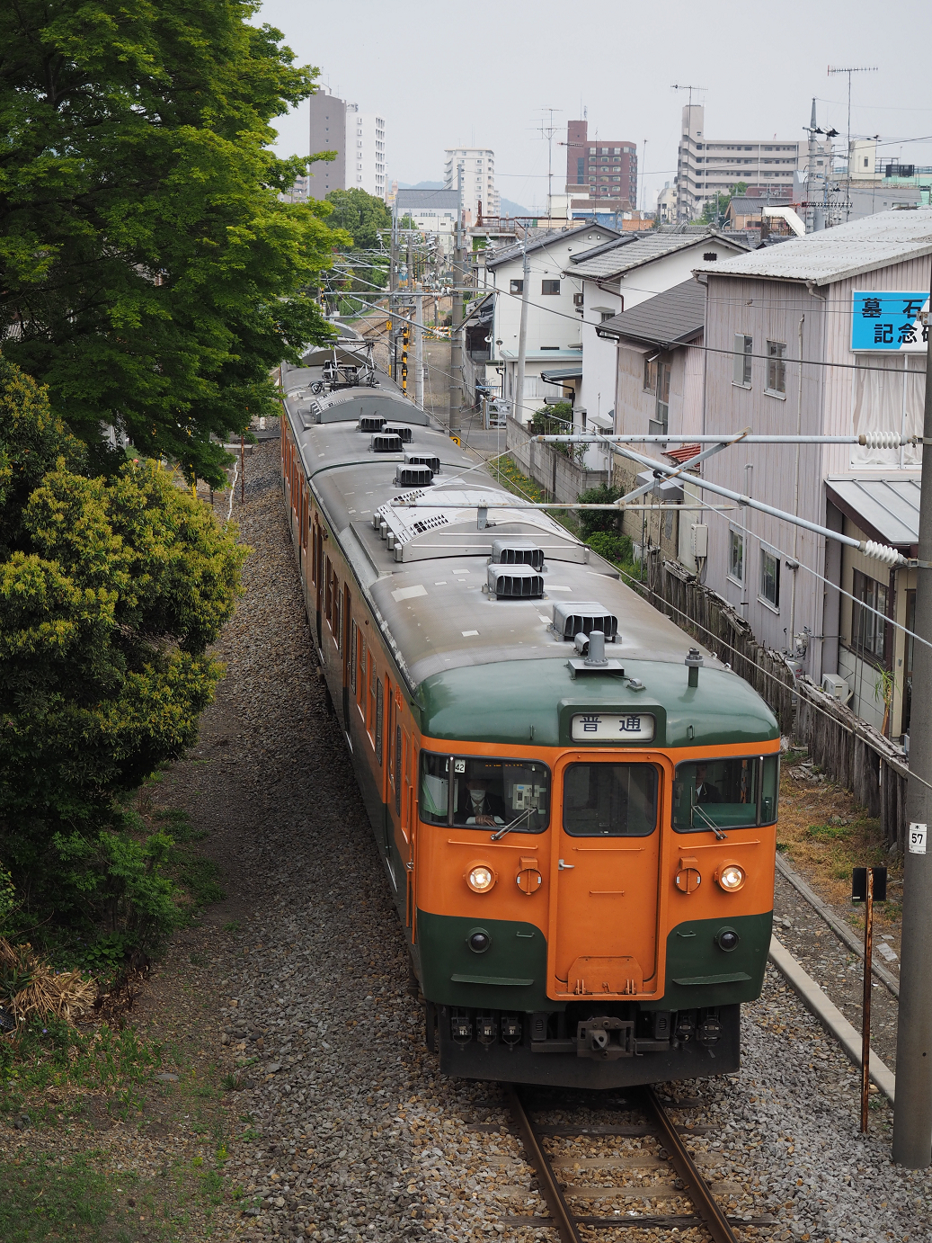 P4291263.jpg
