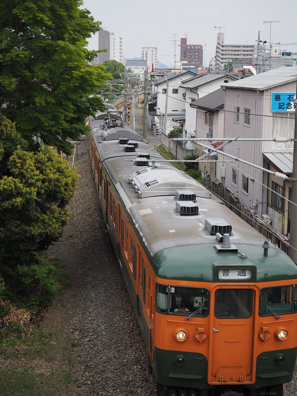 P4291265.jpg