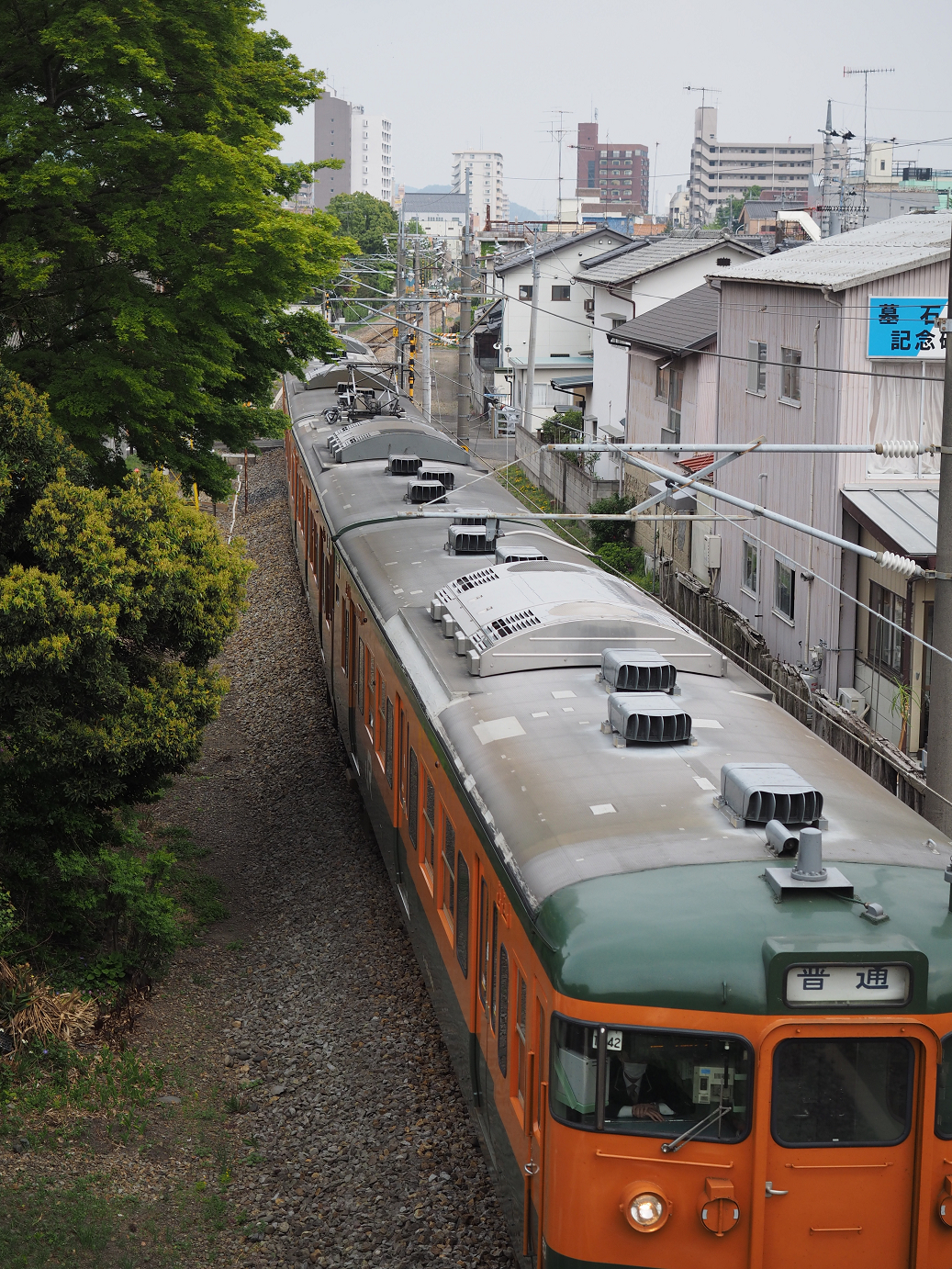 P4291266.jpg