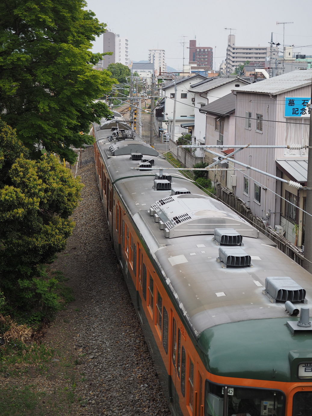 P4291267.jpg