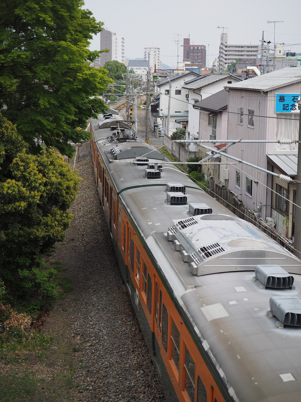 P4291269.jpg