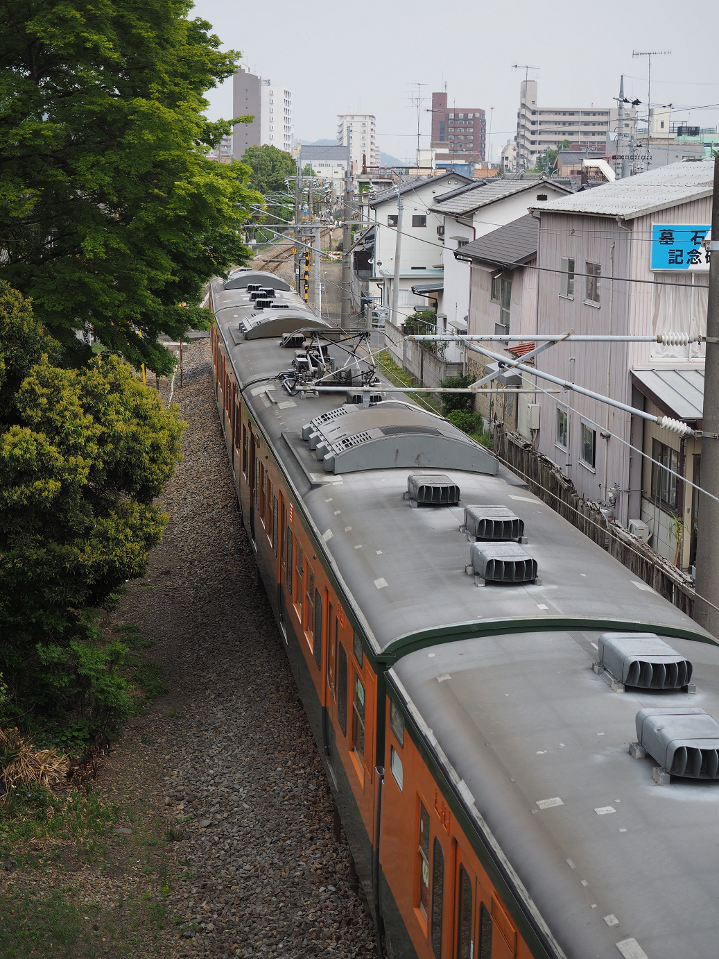 P4291274.jpg