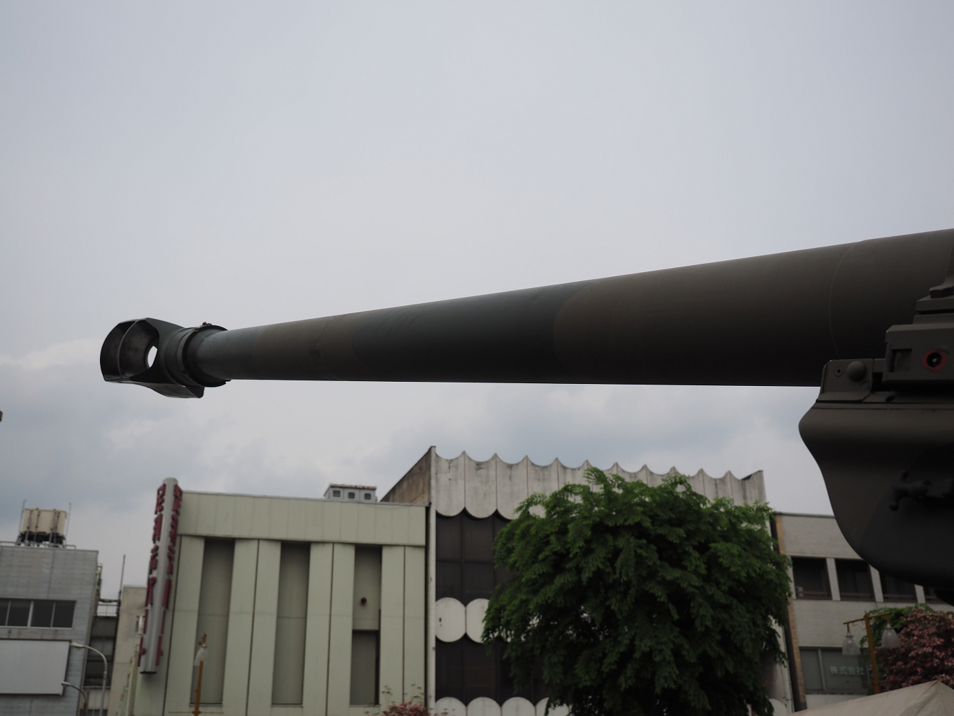 P4291300.jpg