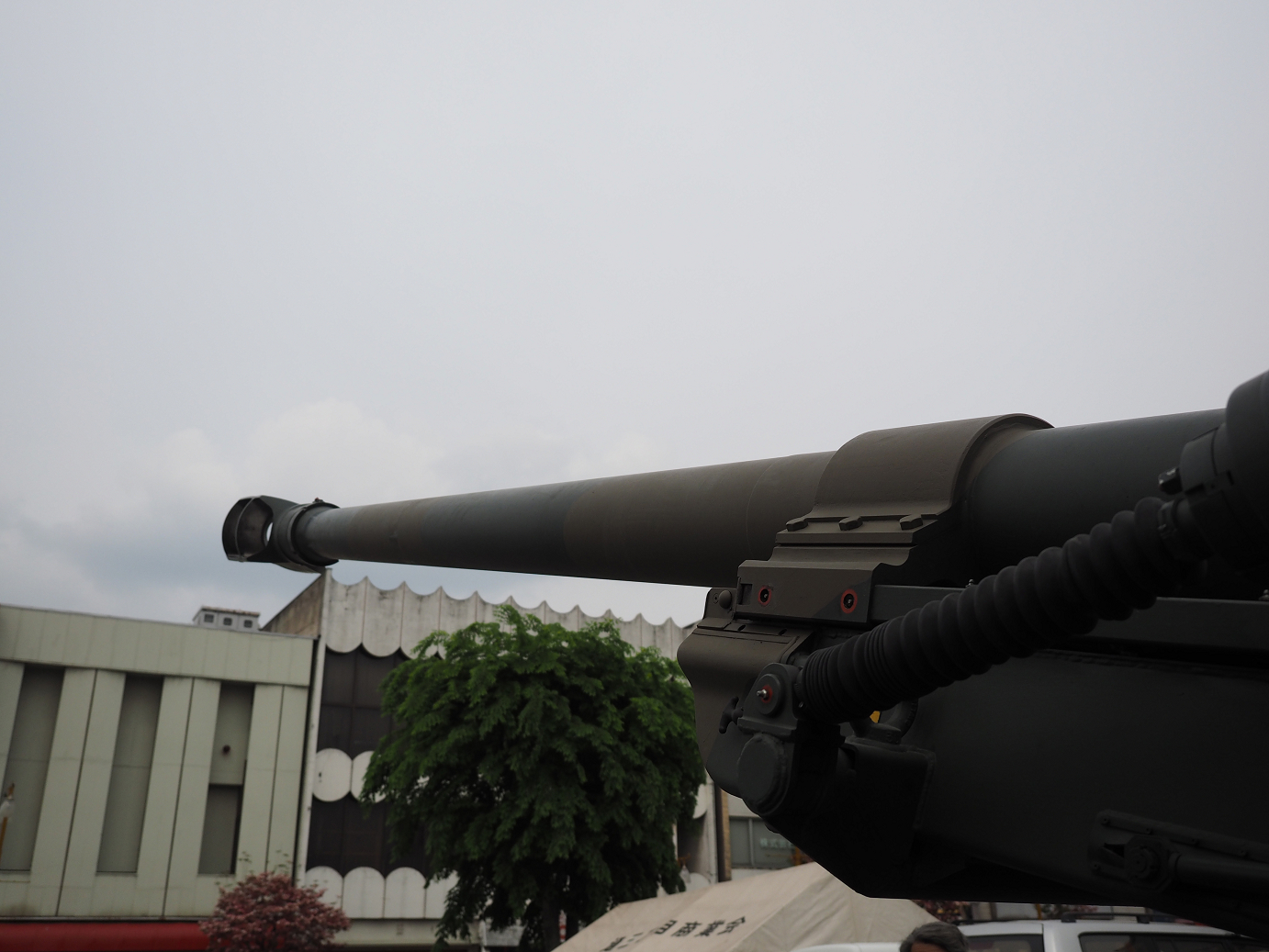 P4291321.jpg