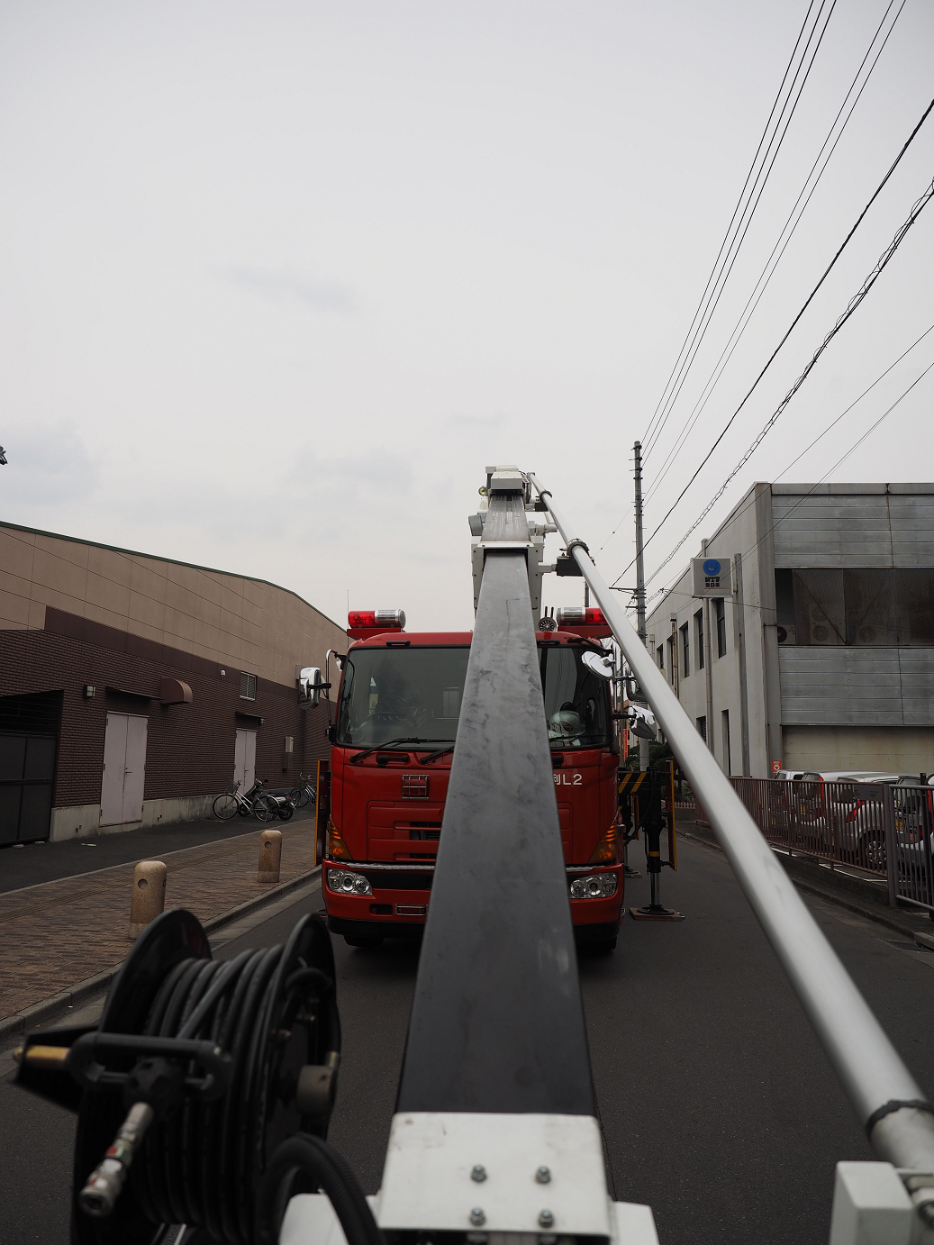 P4291363.jpg