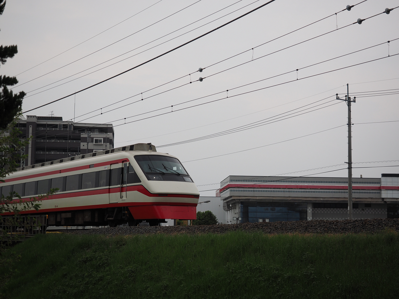 P4291368.jpg