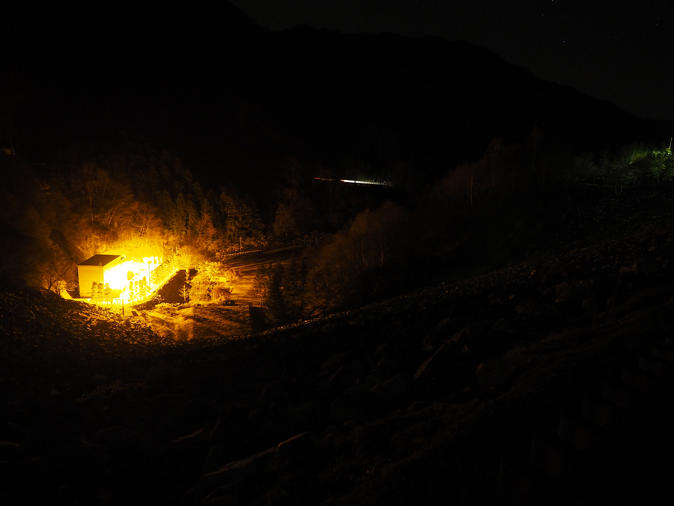 P50300010.jpg