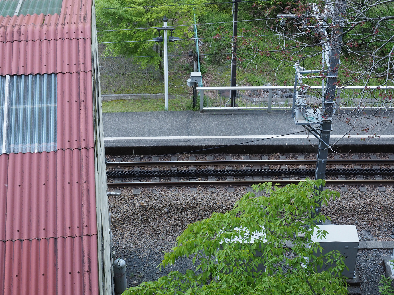 P50400039.jpg