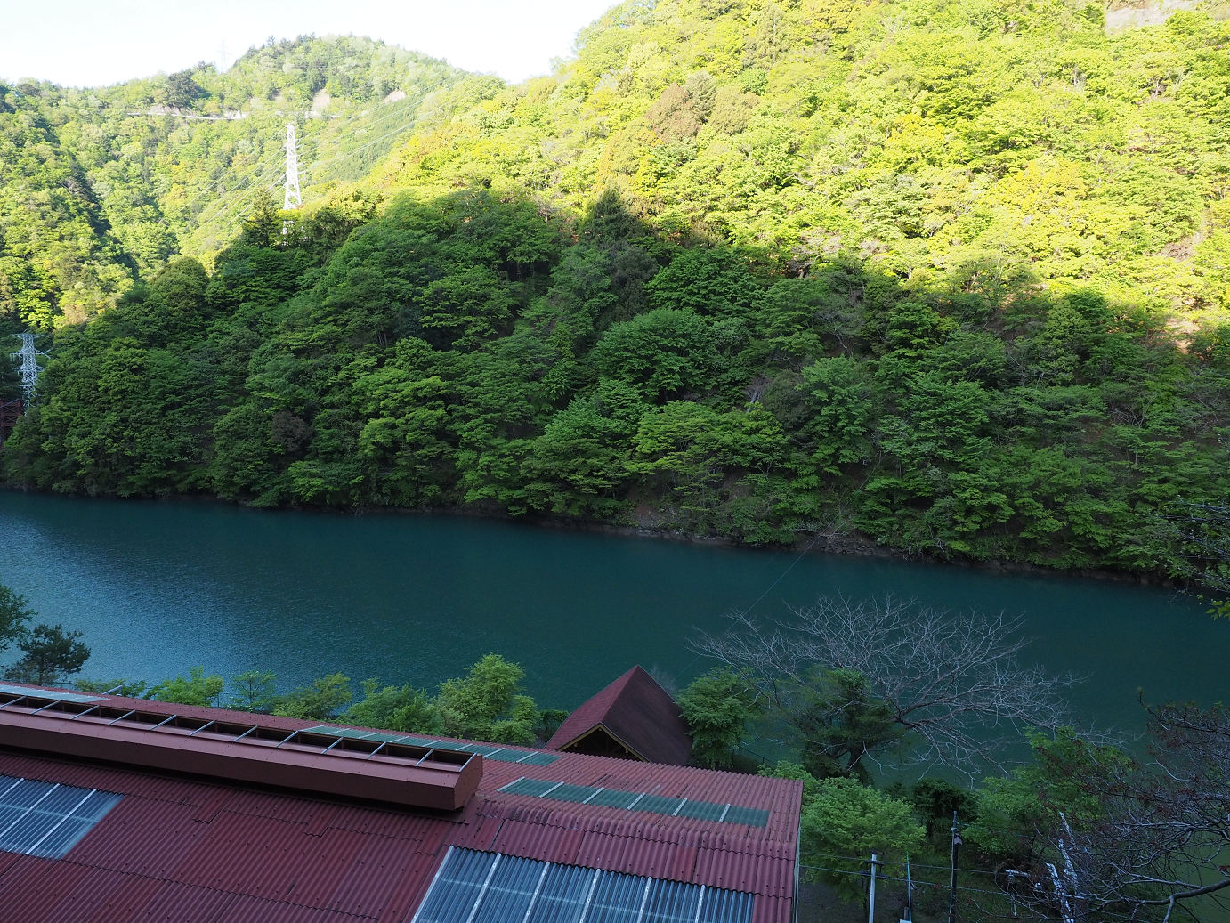 P50400040.jpg