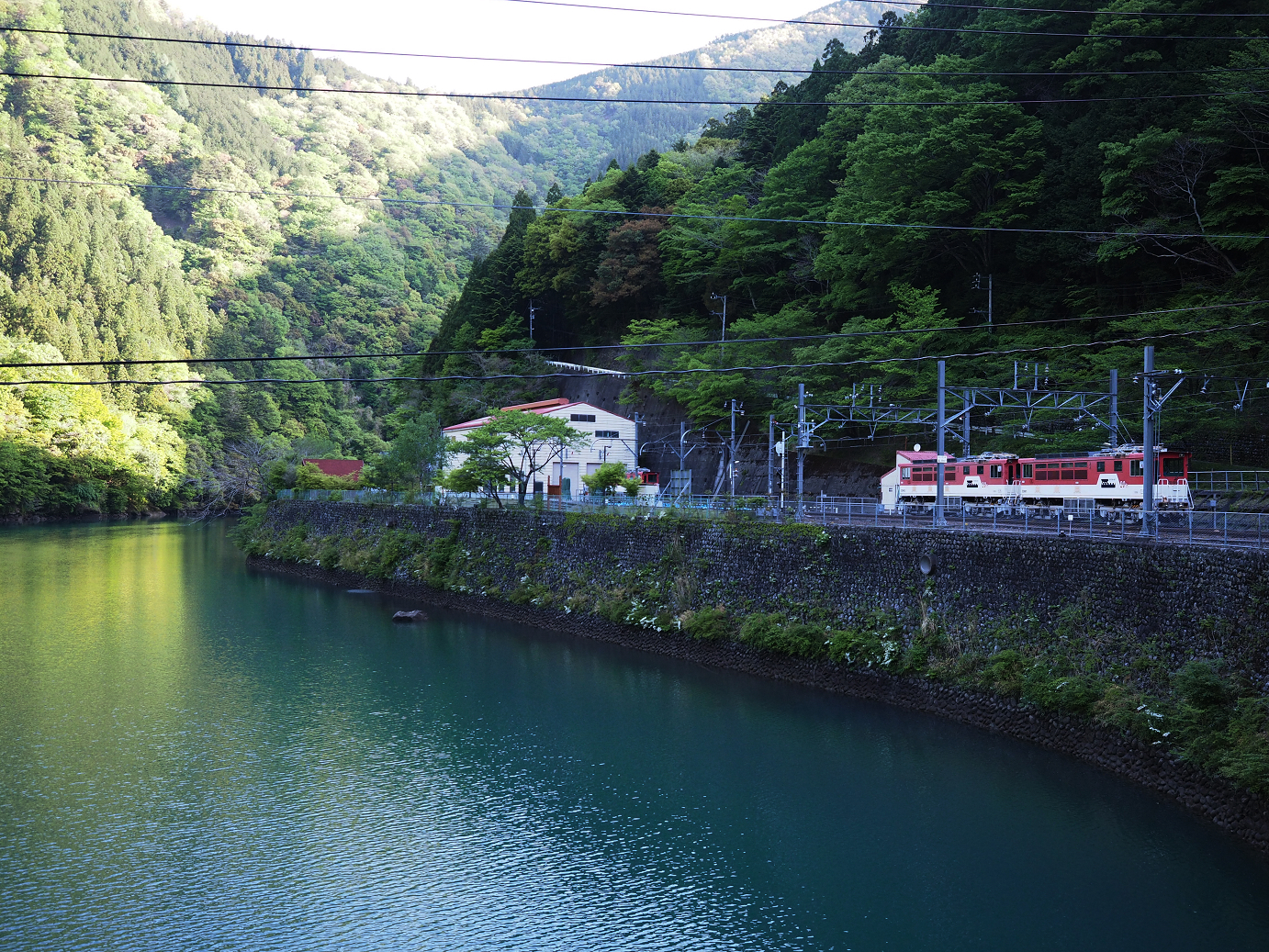 P50400049.jpg