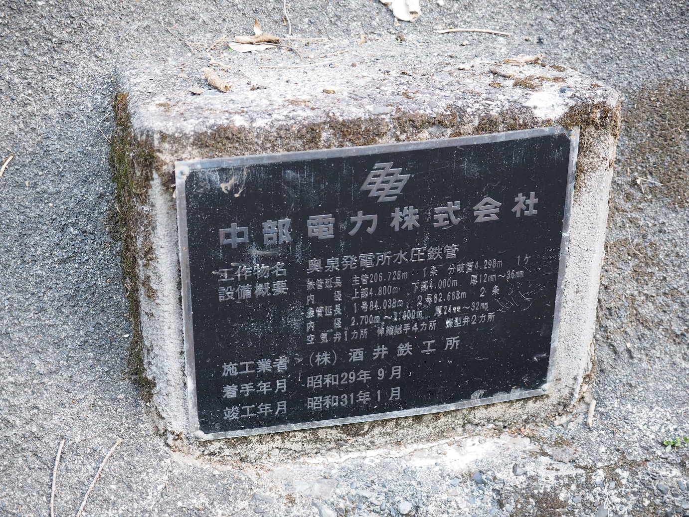 P50400069.jpg