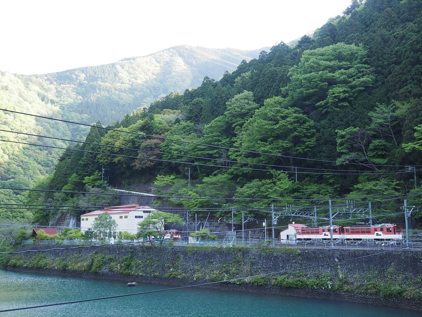 P50400080.jpg