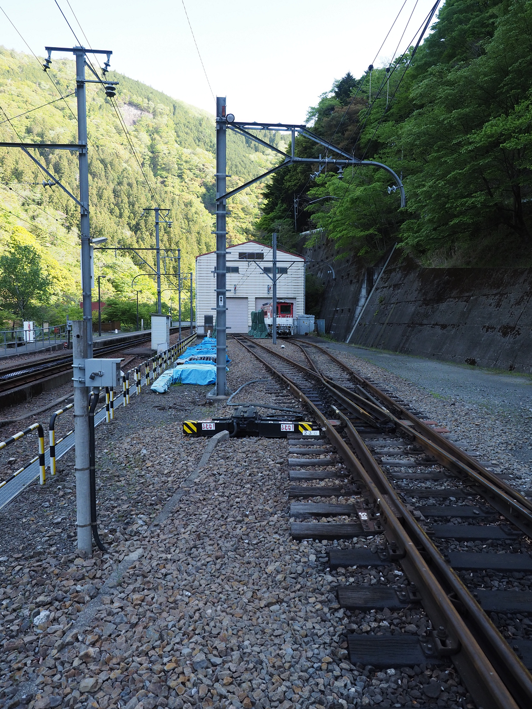 P50400096.jpg