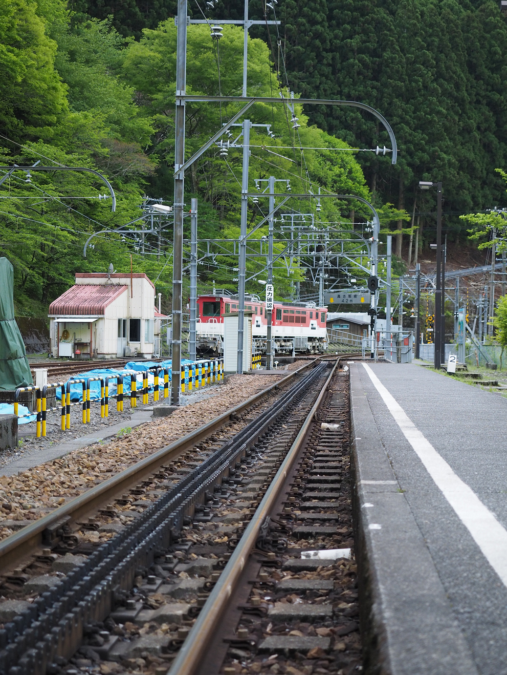 P50400117.jpg