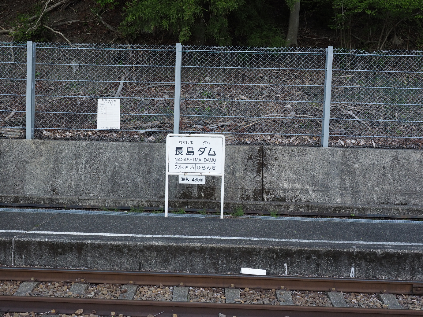 P50400161.jpg