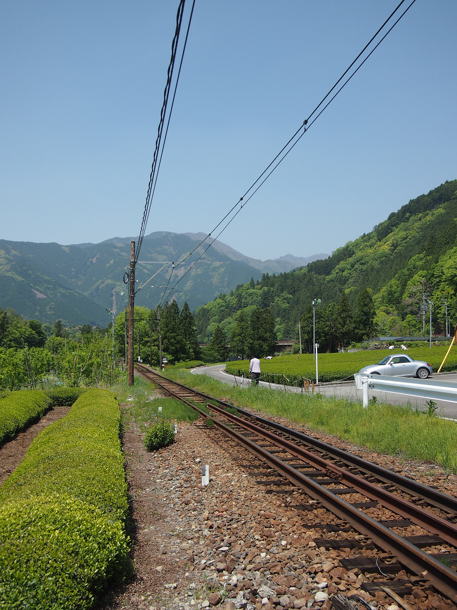P50400347.jpg