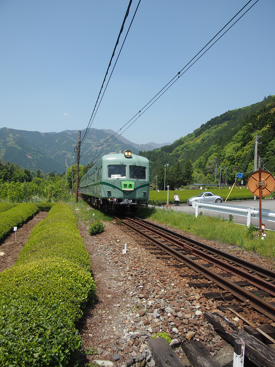 P50400358.jpg