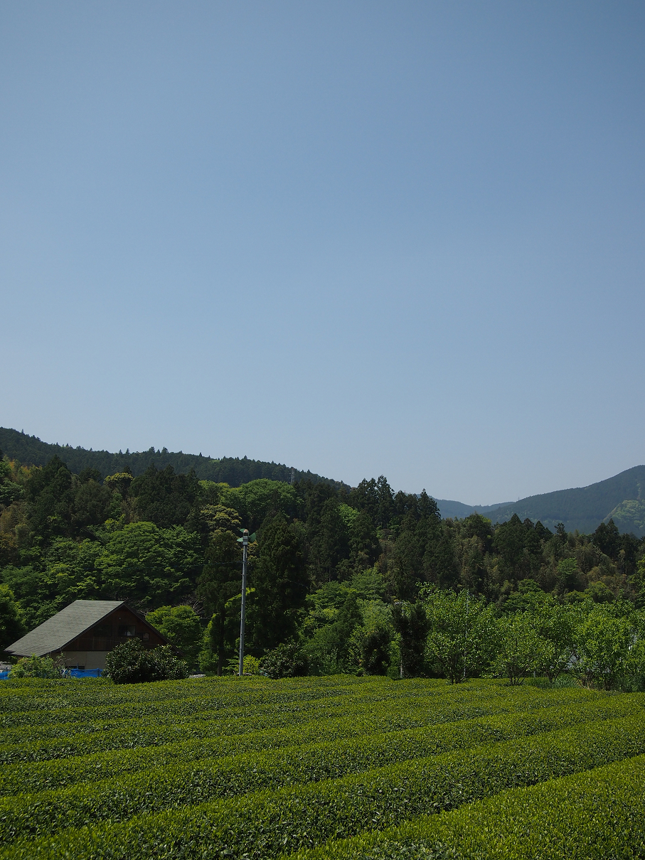 P50400367.jpg