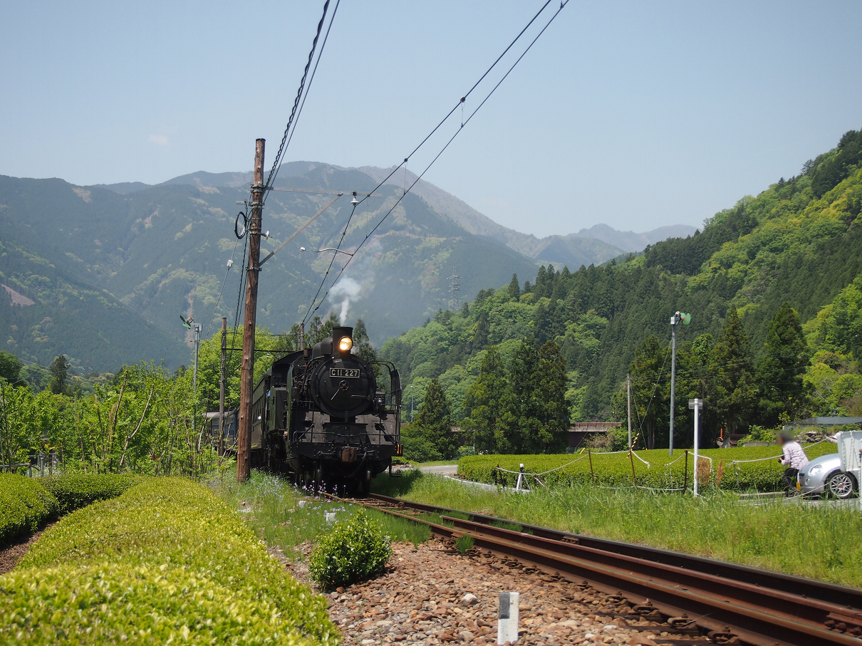 P50400388.jpg