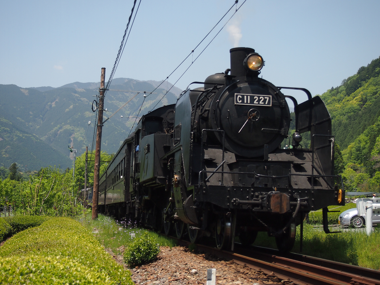 P50400392.jpg