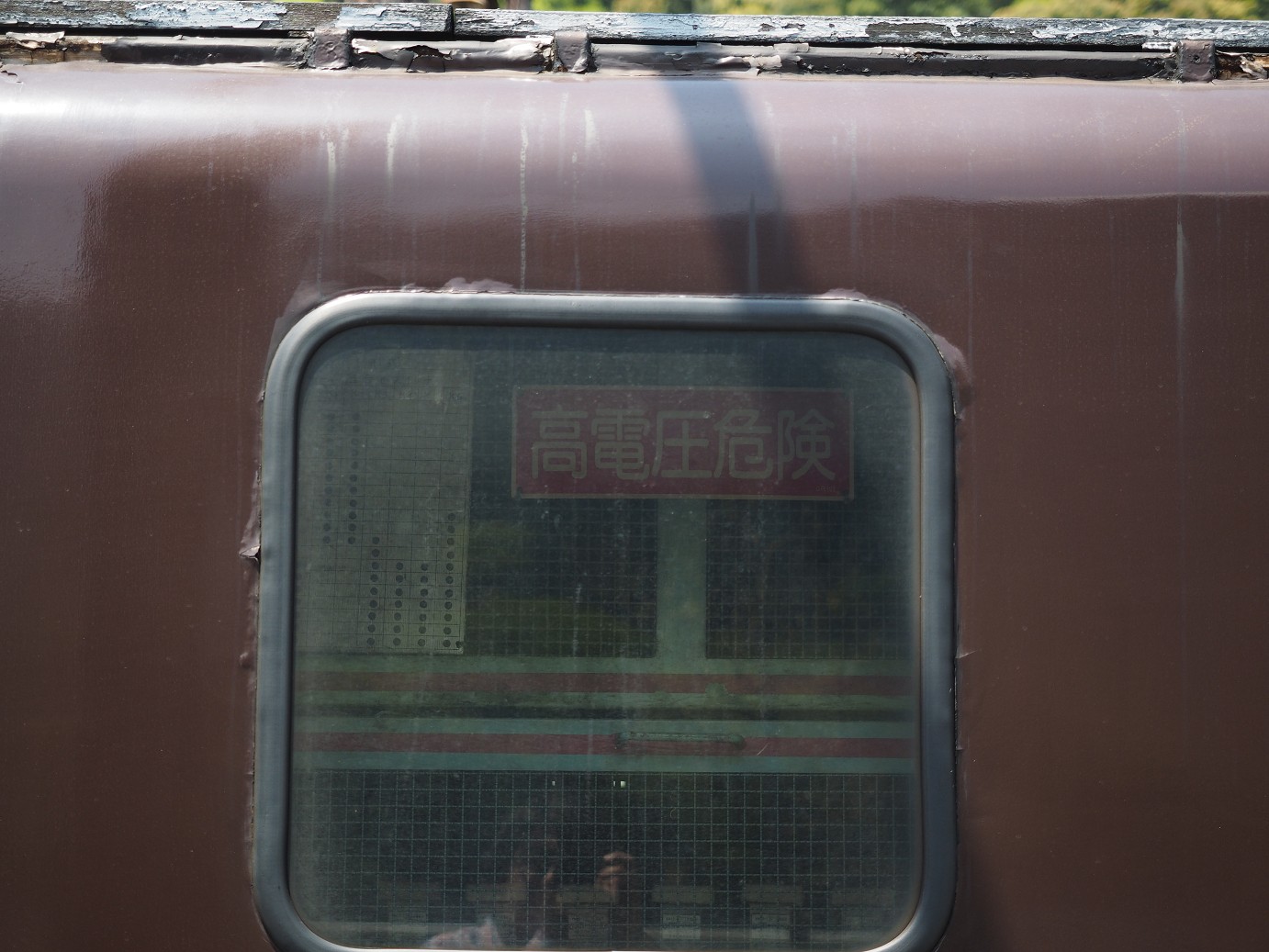 P50400496.jpg