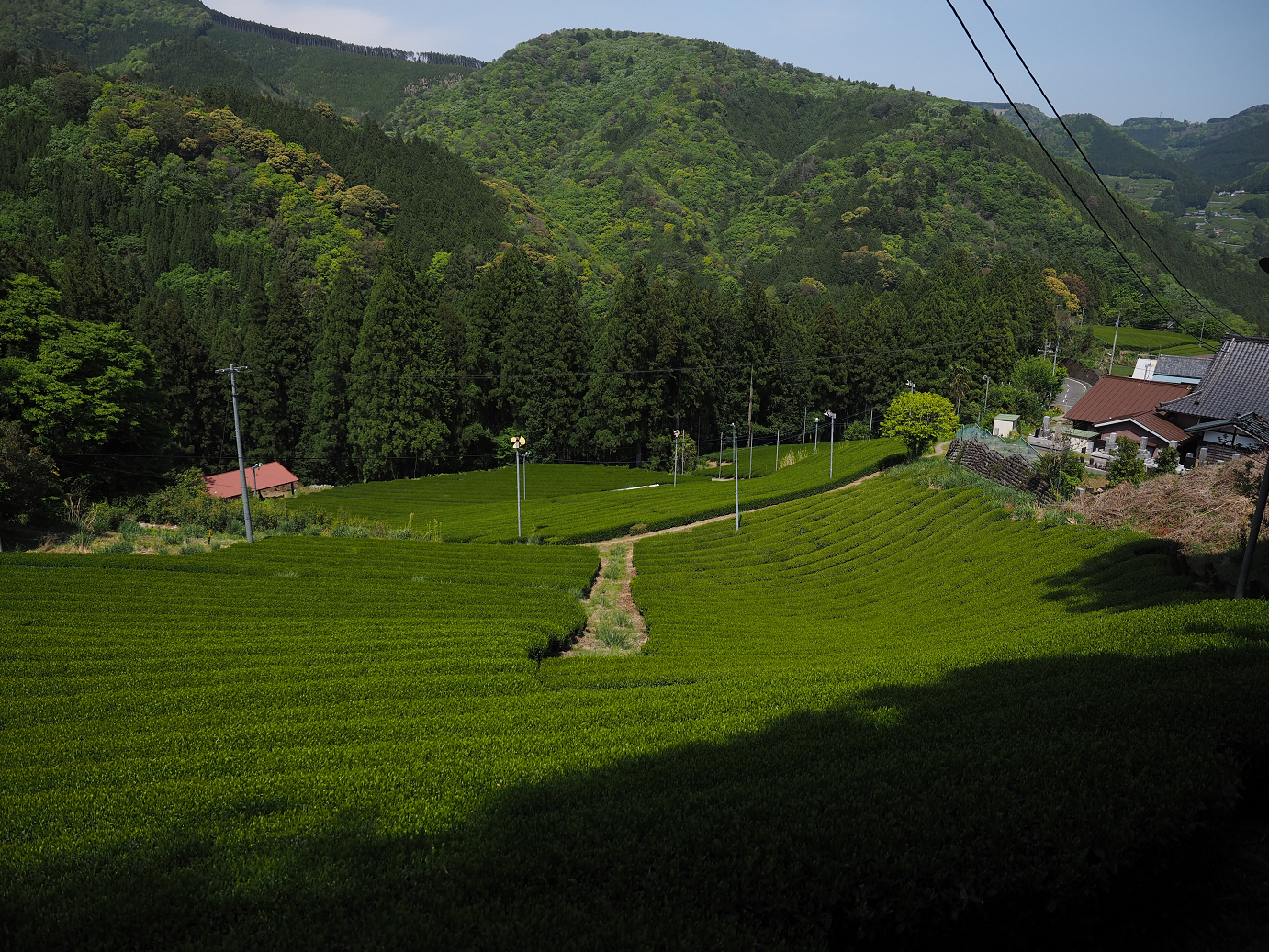 P50400542.jpg
