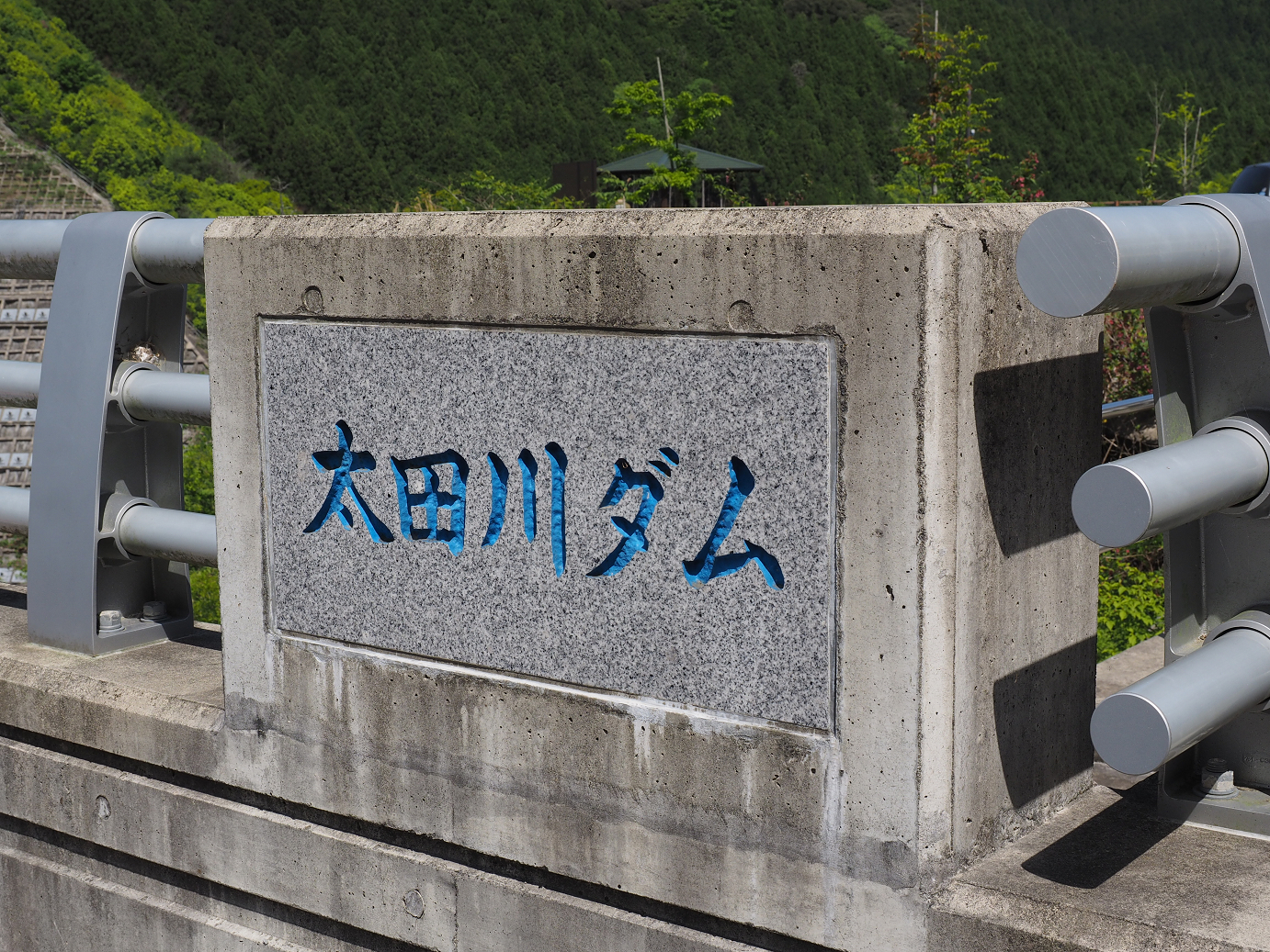 P50400560.jpg