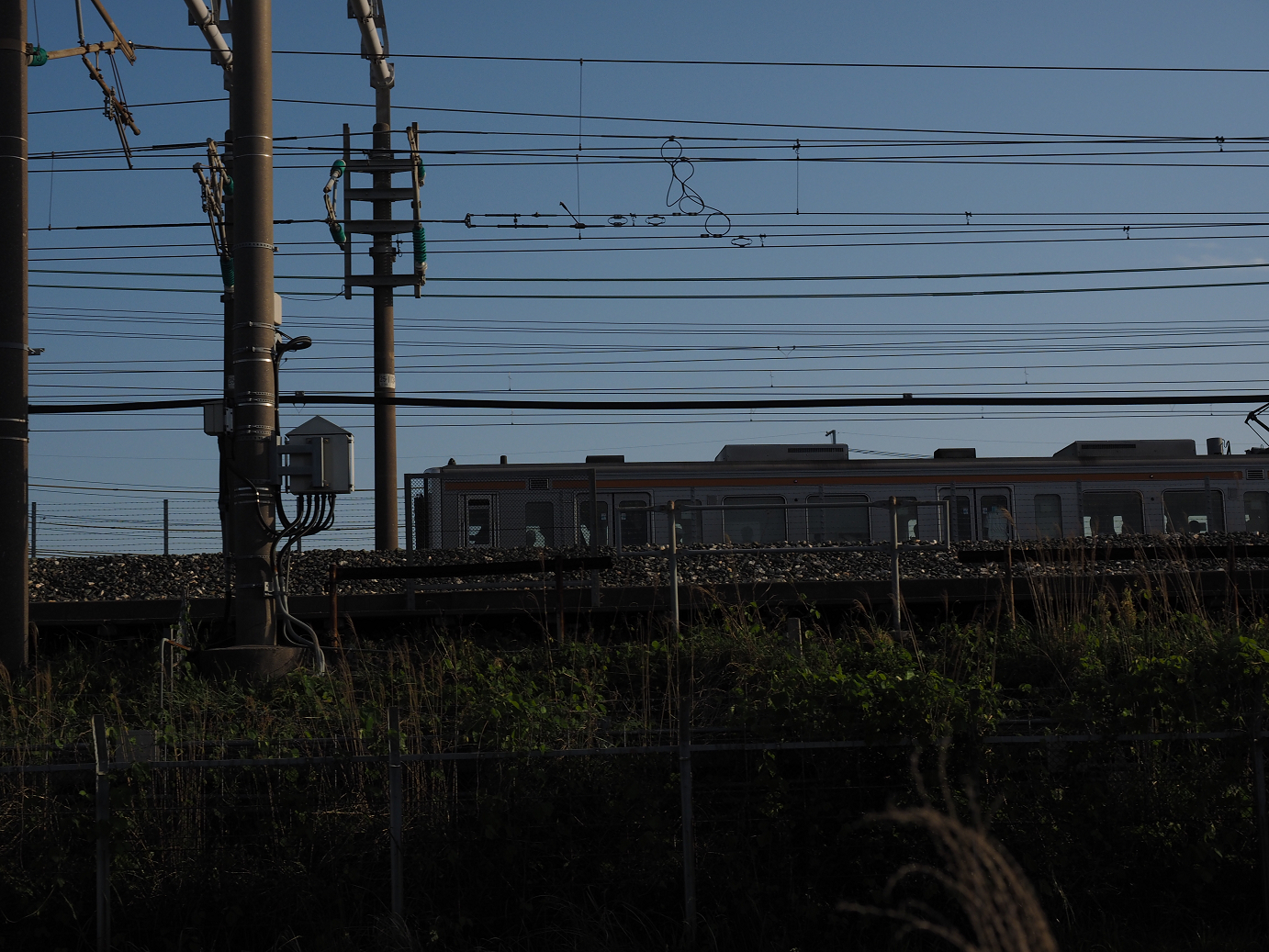P50400589.jpg