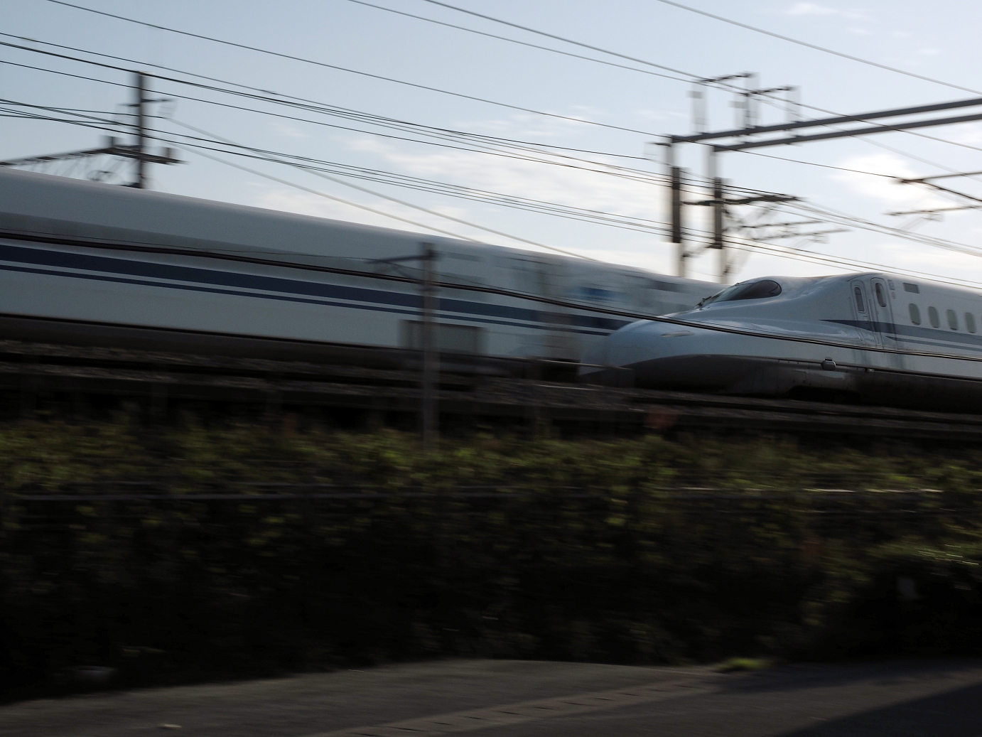 P50400591.jpg
