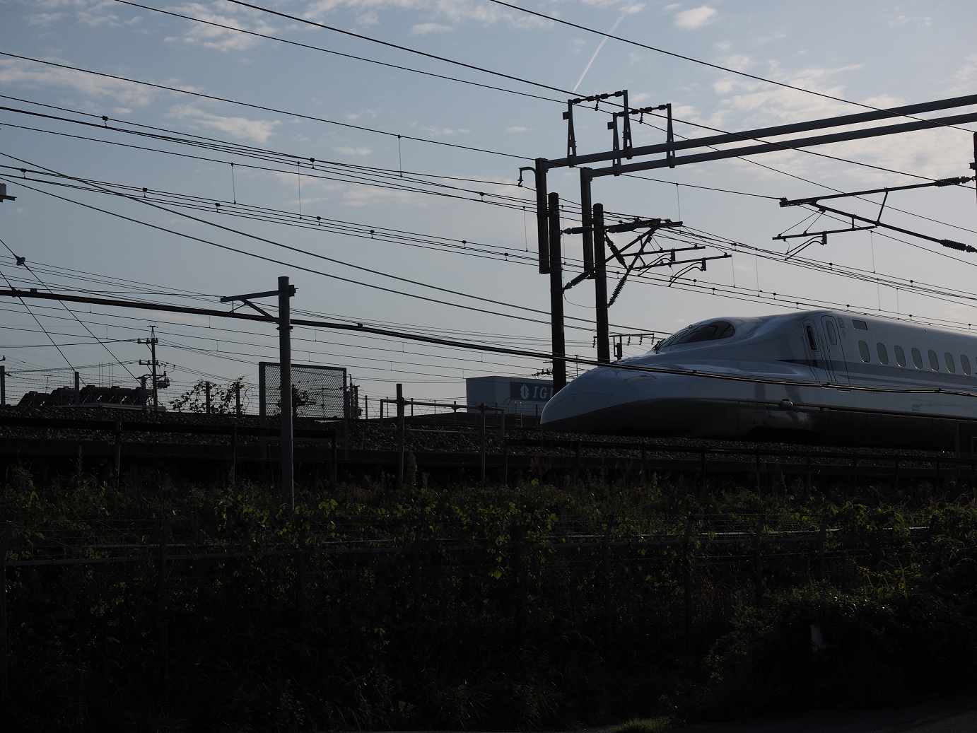 P50400603.jpg