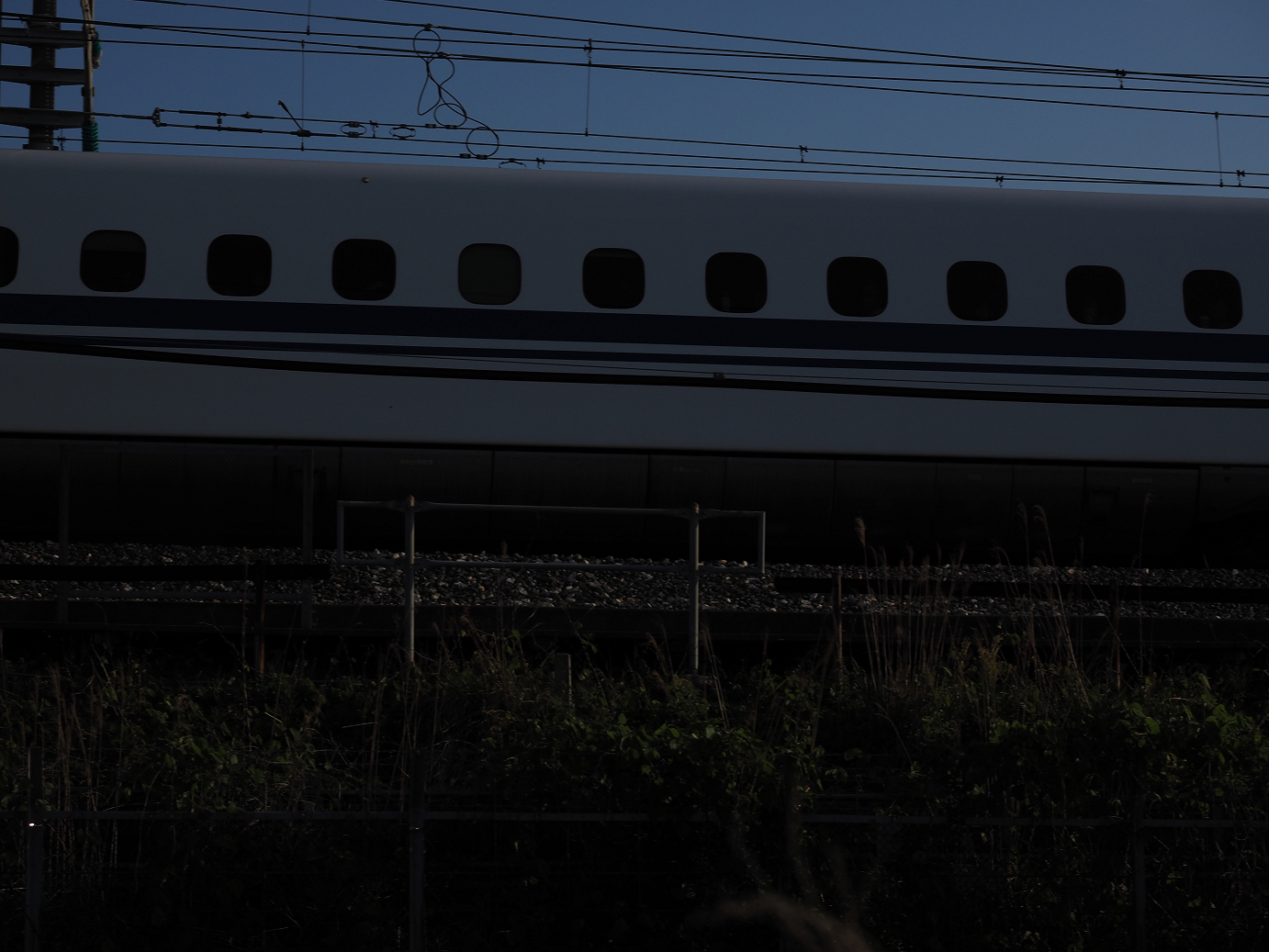 P50400608.jpg