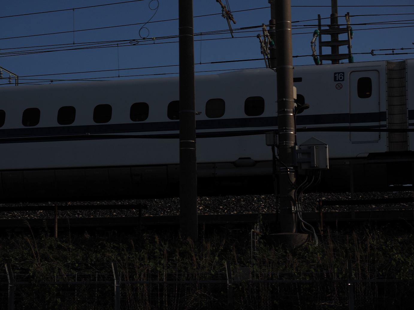 P50400610.jpg