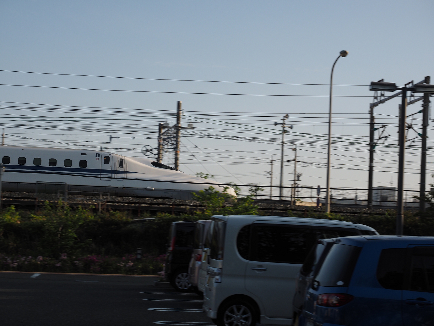 P50400618.jpg