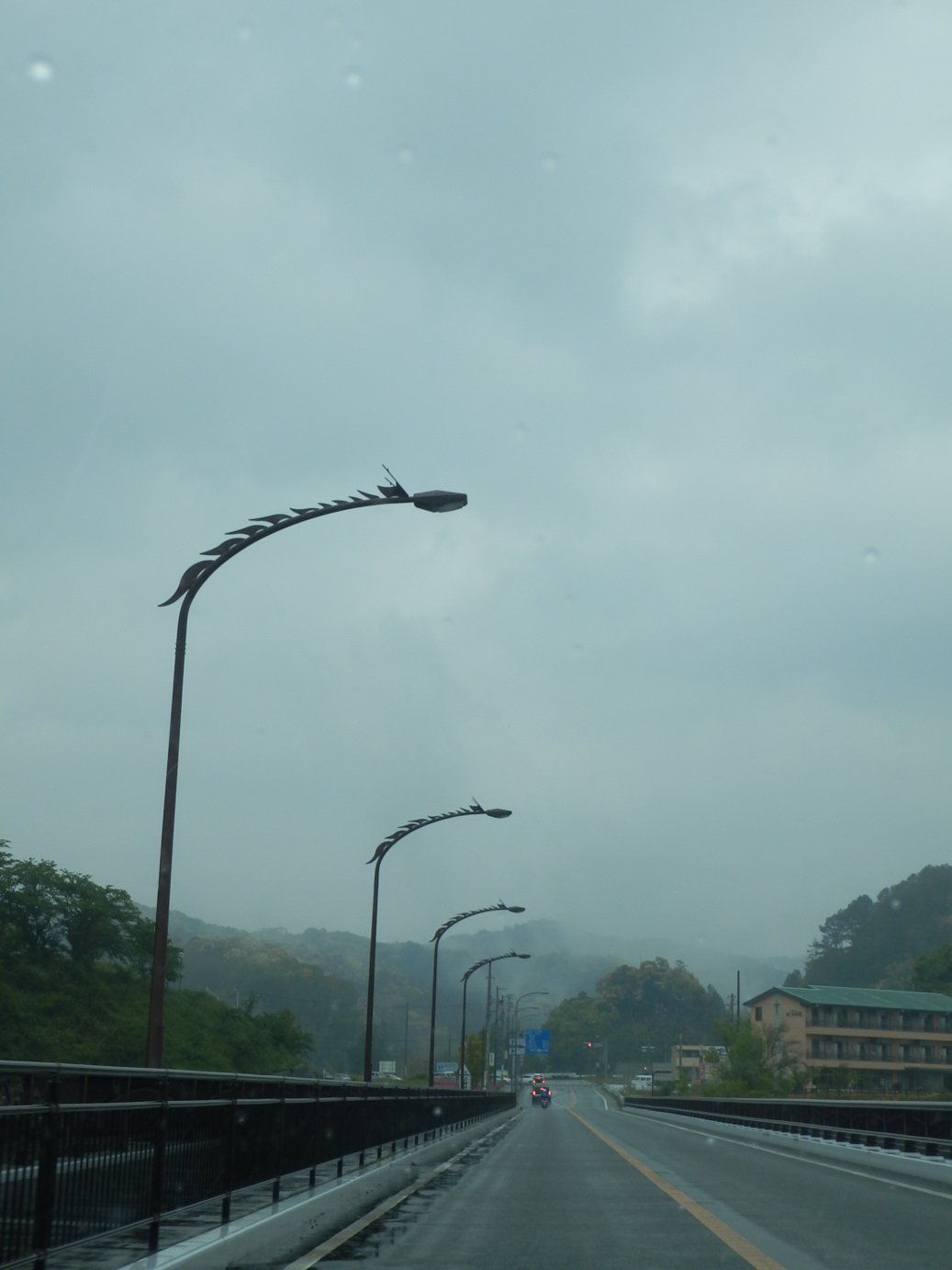 P50400584.jpg