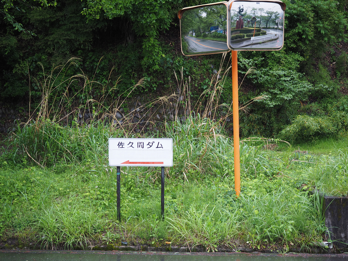 P50400652.jpg