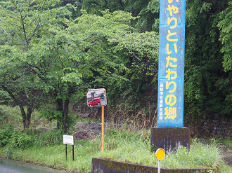 P50400659_thumb.png