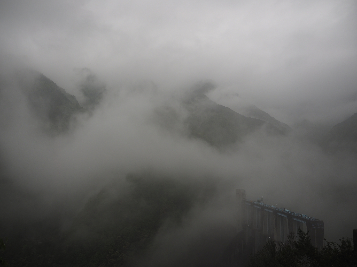 P50400727.jpg