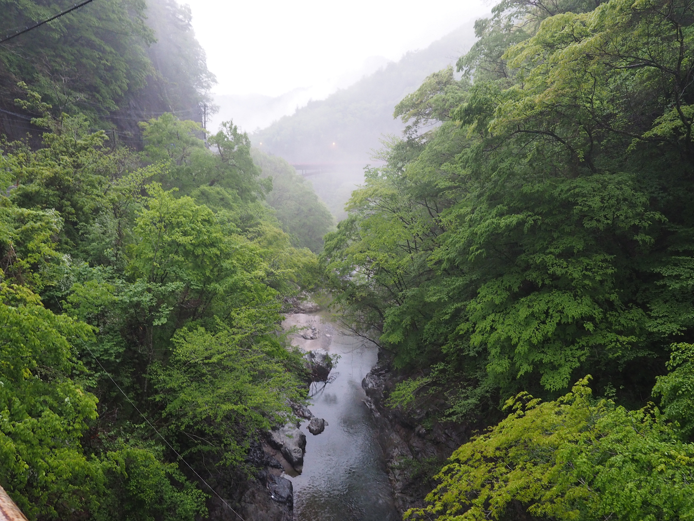 P50400775.jpg