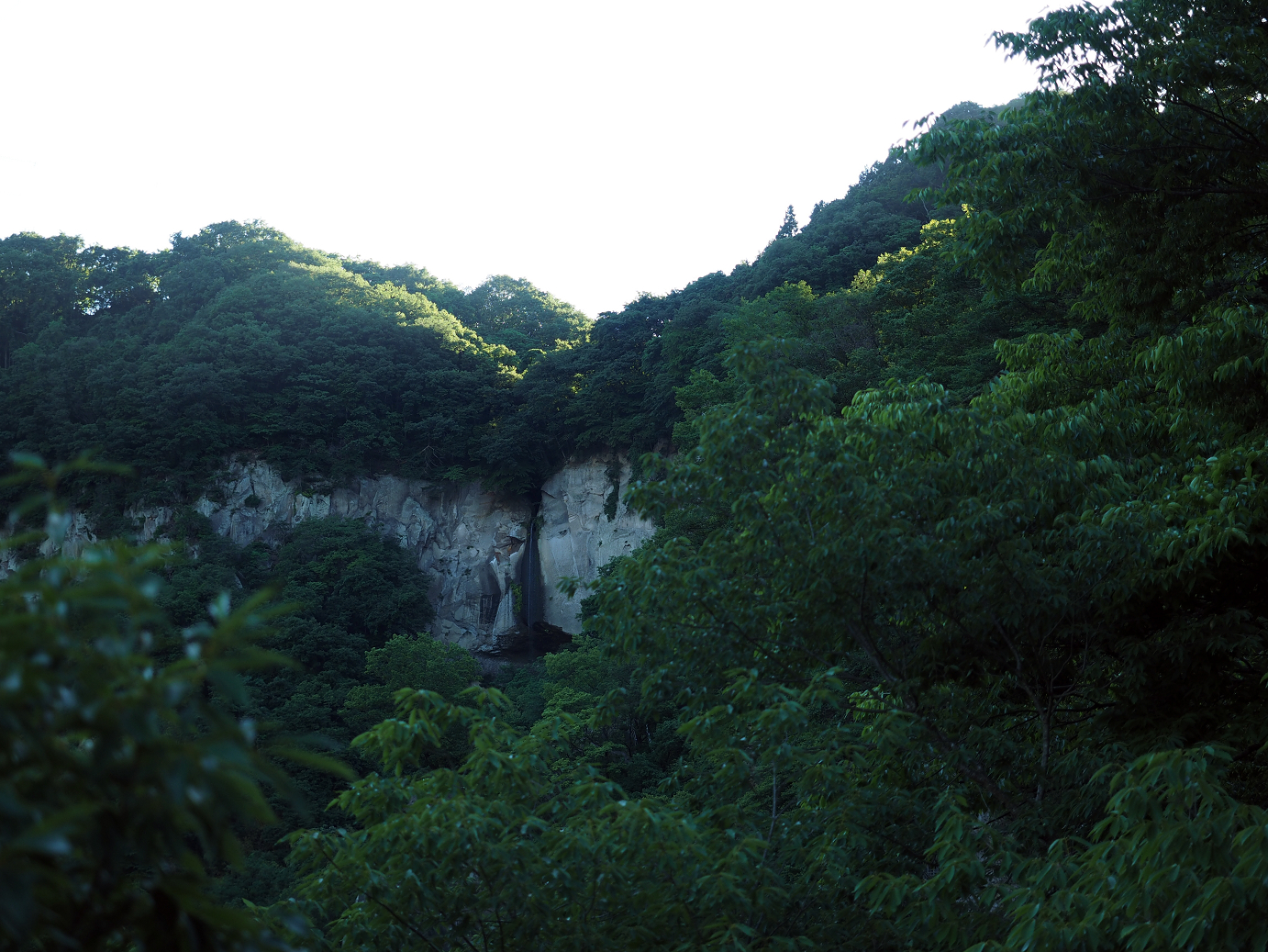 P61400051.jpg