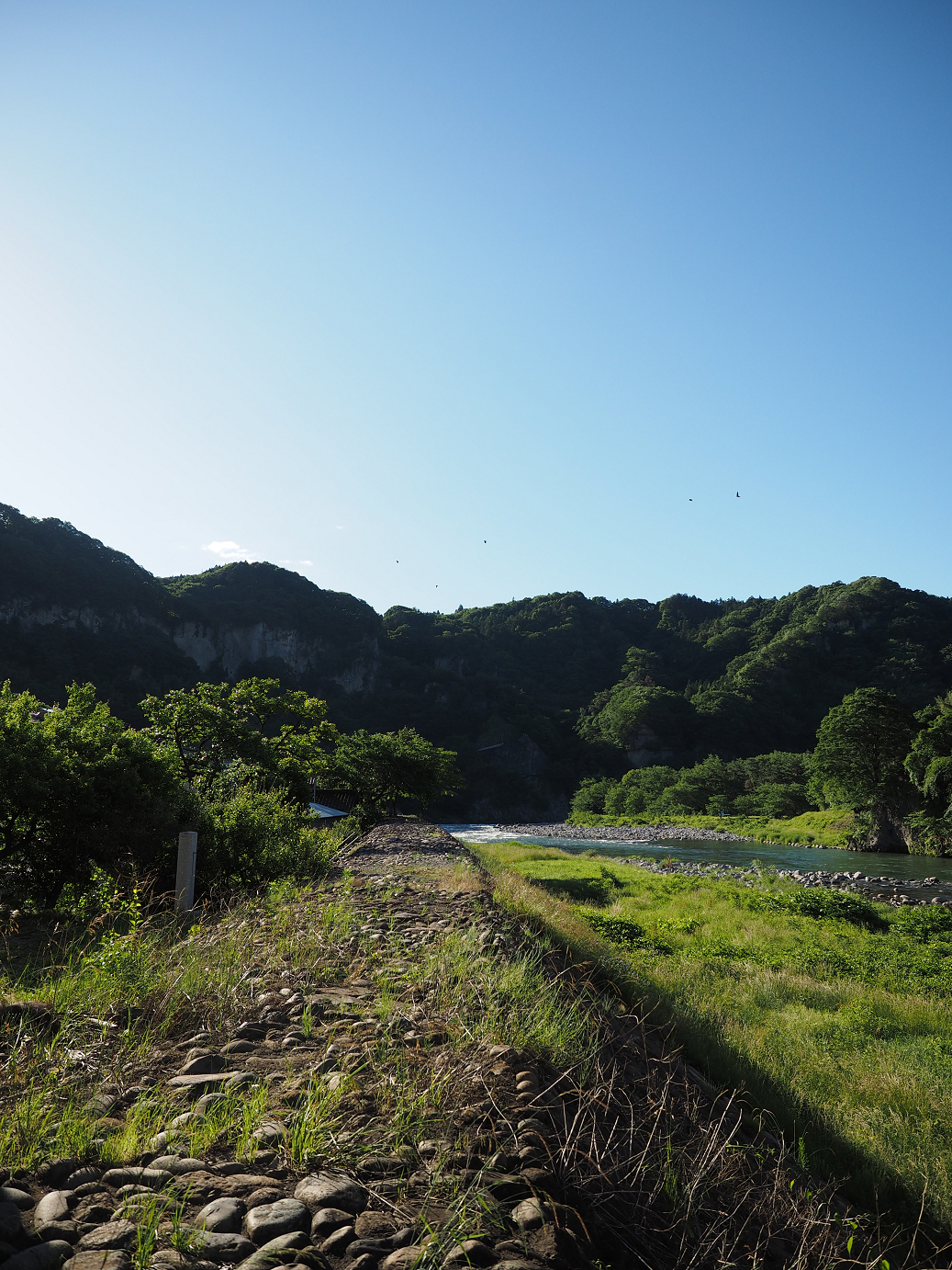 P61400081.jpg